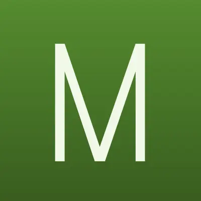 Модница